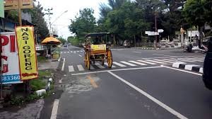 img (35)